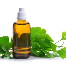 Ginkgo biloba extract a key ingredient in Dynavyte's Purple Magic